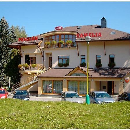 Penzion Kamelia Жилина Экстерьер фото